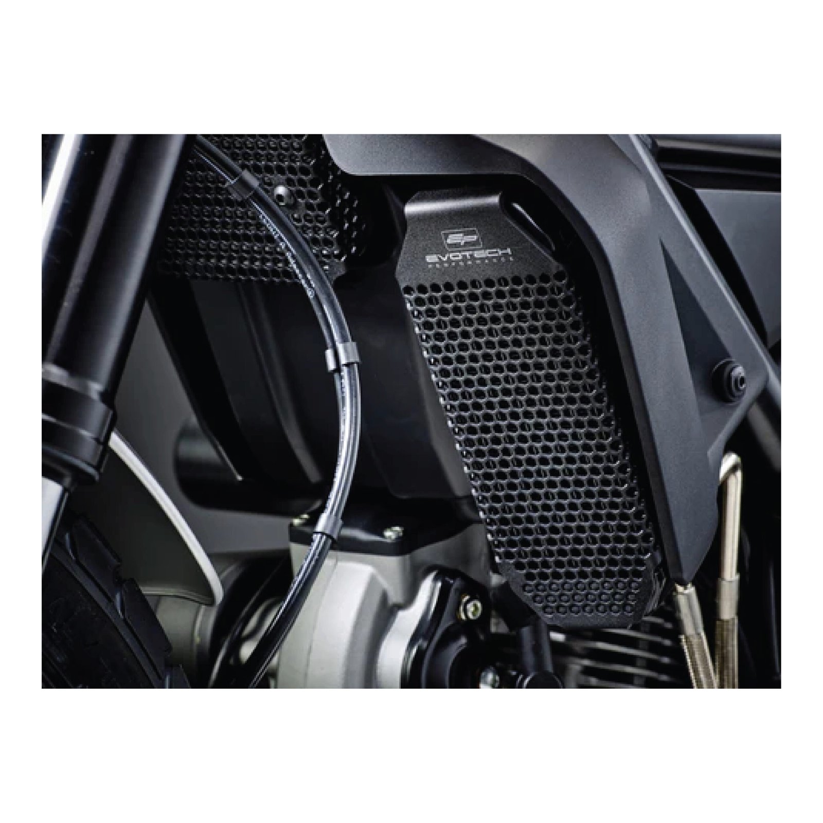 DUCATI SCAMBLER 800 OIL COOLER GUARD EVOTECH PERFORMANCE - PRN012252 - Image 2