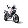 DUCATI DESERTX / RALLY RADIATOR GUARD (22+ EVOTECH PERFORMANCE - PRN016016