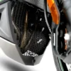 R&G PRO DOWNPIPE GRILL FOR KAWASAKI NINJA 1000 (20+ / 1100 SX (25+ – DG0063PROBK